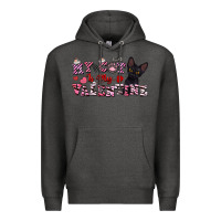 Charcoal Heather my cat is my valentine Premium Hoodie - FaDigitalArtStudio