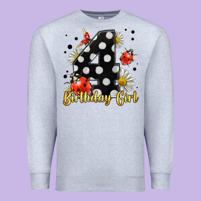 Ladybug Birthday Girl Age 4 Premium Sweatshirt Designed By Lillyallendesigns