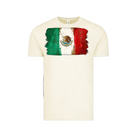 Vintage Arctic Mexican Flag Vintage Tee - texasbilliewilder