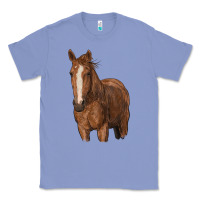 Colony Blue brown horse Classic Tee - RanaPortraitStore