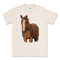 Natural brown horse Classic Tee - RanaPortraitStore