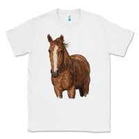 White brown horse Classic Tee - RanaPortraitStore