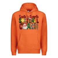 Carrot Santa's Favorite Softball Coach For Christmas Premium Hoodie - FaDigitalArtStudio
