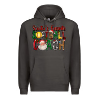 Smoke Santa's Favorite Softball Coach For Christmas Premium Hoodie - FaDigitalArtStudio