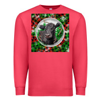 Cardinal christmas black angus cow Premium Sweatshirt - LillyAllenDesigns