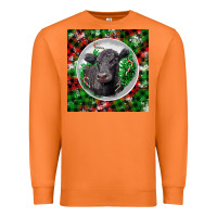 Carrot christmas black angus cow Premium Sweatshirt - LillyAllenDesigns