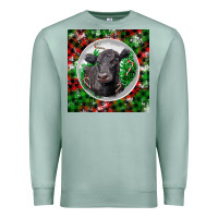 Seafoam christmas black angus cow Premium Sweatshirt - LillyAllenDesigns
