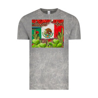 Cloud Rock Mexican Flag Vintage Tee - texasbilliewilder