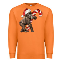 Carrot Christmas Candy Cane Baby Gorilla Premium Sweatshirt - LillyAllenDesigns