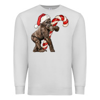 Dove Grey Christmas Candy Cane Baby Gorilla Premium Sweatshirt - LillyAllenDesigns