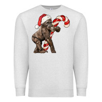 Oatmeal Heather Christmas Candy Cane Baby Gorilla Premium Sweatshirt - LillyAllenDesigns