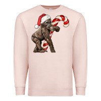 Pale Pink Christmas Candy Cane Baby Gorilla Premium Sweatshirt - LillyAllenDesigns