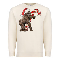 Sandshell Christmas Candy Cane Baby Gorilla Premium Sweatshirt - LillyAllenDesigns