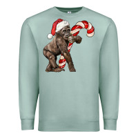 Seafoam Christmas Candy Cane Baby Gorilla Premium Sweatshirt - LillyAllenDesigns