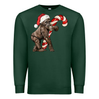 Sports Green Christmas Candy Cane Baby Gorilla Premium Sweatshirt - LillyAllenDesigns