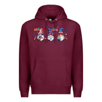 4th Of July Gnomes Libbey Glass Premium Hoodie | Teevron