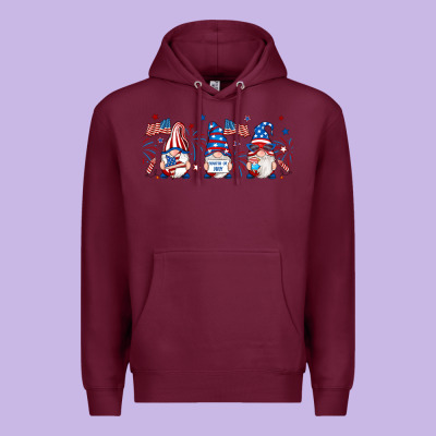 4th Of July Gnomes Libbey Glass Premium Hoodie Designed By Ranaportraitstore