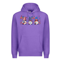 Purple 4th of july gnomes libbey glass Premium Hoodie - RanaPortraitStore