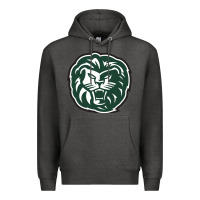 Charcoal Heather piedmont college lions Premium Hoodie - tuanDangUi