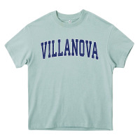 Villanova Pennsylvania Pa Vintage Athletic Sports Heavy Core Tee | Teevron