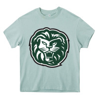 Arona piedmont college lions Heavy Core Tee - tuanDangUi