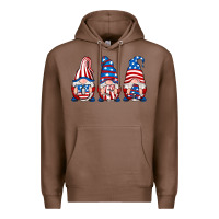 Chestnut usa fourth of july gnomes Premium Hoodie - RanaPortraitStore
