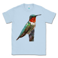 Dusty Blue Ruby Throated Hummingbird Bird Classic Tee - LillyAllenDesigns