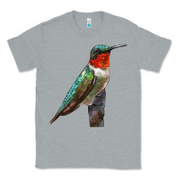 Heather Grey Ruby Throated Hummingbird Bird Classic Tee - LillyAllenDesigns