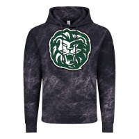 Cloud Black piedmont college lions Vintage Hoodie - tuanDangUi