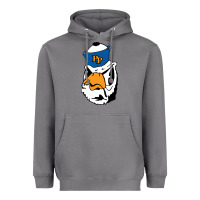 Storm pomona, colleges Heavyweight Hoodie - tuanDangUi
