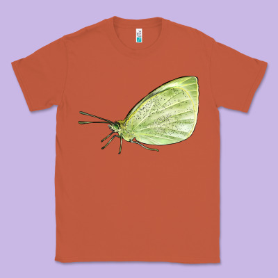 Cabbage White Butterfly Classic Tee Designed By Lillyallendesigns