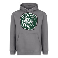 Storm piedmont college lions Heavyweight Hoodie - tuanDangUi