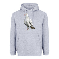 Heather Grey Dove Heavyweight Hoodie - LillyAllenDesigns