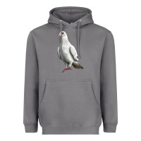 Storm Dove Heavyweight Hoodie - LillyAllenDesigns