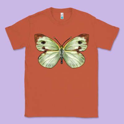 Cabbage Butterfly Classic Tee Designed By Lillyallendesigns