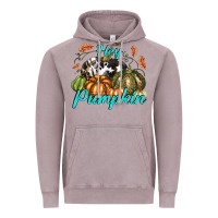 Vintage Zinc Hey Pumpkin Vintage Hoodie - texasbilliewilder