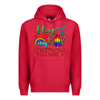 Cardinal I Love My Gay Friends Premium Hoodie - BundleAndBundleShop