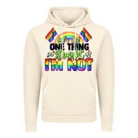 Vintage Artic Let's get one thing straight i'm not Pride LGBTQ+ Vintage Hoodie - NancyCooperArtShop