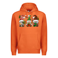 Carrot Christmas Gnomes Premium Hoodie - BundleAndBundleShop