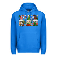 True Royal Christmas Gnomes Premium Hoodie - BundleAndBundleShop