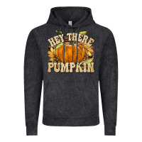 Vintage Black Hey There Pumpkin Vintage Hoodie - texasbilliewilder