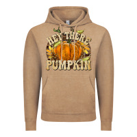 Vintage Coffee Hey There Pumpkin Vintage Hoodie - texasbilliewilder