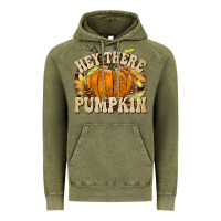 Vintage Olive Hey There Pumpkin Vintage Hoodie - texasbilliewilder