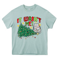 Arona it wasn't me! christmas cat Heavy Core Tee - MaliasSmallBusiness