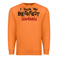 Carrot I Teach The Brightest Students Premium Sweatshirt - LillyAllenDesigns