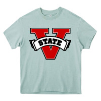 Arona valdosta state Heavy Core Tee - tuanDangUi
