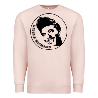 Pale Pink little richard   rock'n'roll legend Premium Sweatshirt - tuanDangUi