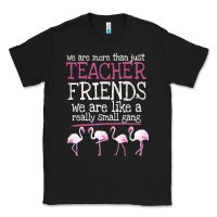 We Are More Than Just Teacher Friends We Are Like A Really Small Gang Classic Tee | Teevron