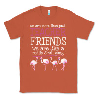 Copper We Are More Than Just Teacher Friends We Are Like A Really Small Gang Classic Tee - Bettercallsaul