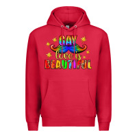 Cardinal Gay Love Is Beautiful Pride Lgbtq Premium Hoodie - BundleAndBundleShop